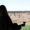 Buller Wines
