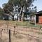 Buller Wines