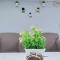 The Little Star Studio Hotel- Star Regency