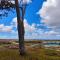 WOT Peniche PinhalMar