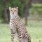 Emdoneni Lodge with Zululand Cat Conservation Project - 赫卢赫卢韦 Emdoneni Lodge with Zululand Cat Conservation Project - 赫卢赫卢韦