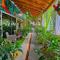 BellaVista Suites By Villas Verdes - Samara Beach