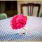 Chez Drum I Villa T3 I Thonon - 托农莱班