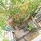 1927 Heritage House - Indoor Garden , Old City