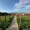 Vineyard Cottages