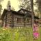 Lapland Cabin Levi - 基蒂莱