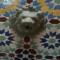 Riad Etoile Dessaouira