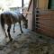 Wild Life Ranch