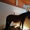 Wild Life Ranch