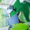 LN NYALI HOMESTAY ENSUITE ROOMs AND APARTMENT WITH SWIMMING POOL