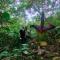 eco trekking lodge, Bar & jungle tour's - 武吉拉旺