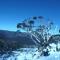 CHILL-OUT - Thredbo