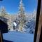 Winter Forest Vlasic