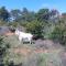 Apartment in Mali Losinj with terrace, air conditioning, WiFi, washing machine 4913-1