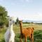 Ruru Lodge - Bed and Breakfast - Kinloch