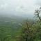 Swami Stays - Alibag