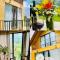 Cottage Mzispira/Cottage sunny side