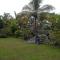 Field Seven