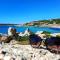 Case Vacanza a Santa Teresa Gallura