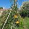 Finca con piscina Es Baladre
