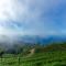 leisure Mount View