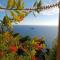 Vicky's Panoramic View Apartments - Pelekas