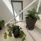 Vila Regina Apartment Regina with Swimming Pool