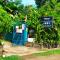 Sun House Rental