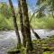 River Idyll - Meredith Lodging - Rhododendron