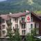 Bukovel Apart - 布克维