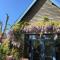 Vakantiewoning De Lotus