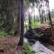 Off-Grid Cottage near river and forest! - Rehberg