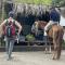 Finca Ometepe