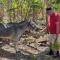 Finca Ometepe