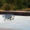 La Farnientaise - 10 pers, boulodrome, clim, piscine, billard