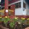 Straberry cottege 2 bhk house - Mahabaleshwar