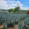 Hotel "El origen" - Tequila