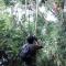 Gino's Place - Guest House & Jungle Trekking - 武吉拉旺