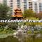 91A Sydney Central Convenient 1Bedroom Abnb Apt with Free Parking