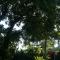 Kayu Arum Resort