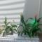 Emerald Beach Homestay