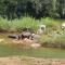 Ekuthuleni River Front Chalets Hoedspruit - Hoedspruit