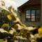 Pinecone Hideaway - huis in het bos - 阿尔特