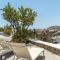 Alisachni House Mykonos - Kalafati