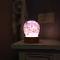 B&B Cristalli Di Luce