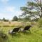 Nice Home In Bindslev With Sauna