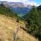 Santner alpine tauern living - panorama apartments in Virgen with free parking & ski - bike room