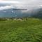 The Alpine Jungle Stay