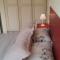Apartamento Ingleses Norte