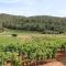 Small vineyard in Provence - 勒托罗纳